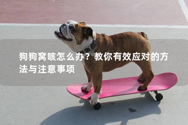 狗狗窩咳怎么辦？教你有效應(yīng)對(duì)的方法與注意事項(xiàng)