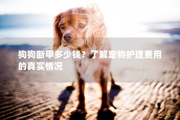 狗狗斷甲多少錢？了解寵物護(hù)理費用的真實情況