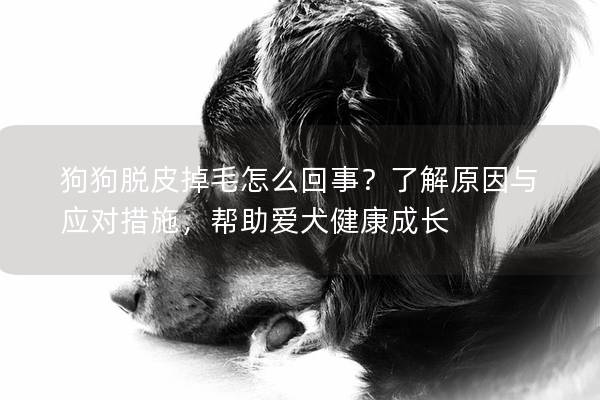 狗狗脫皮掉毛怎么回事？了解原因與應對措施，幫助愛犬健康成長