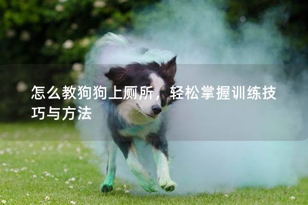 怎么教狗狗上廁所，輕松掌握訓練技巧與方法