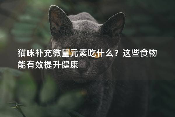 貓咪補充微量元素吃什么？這些食物能有效提升健康