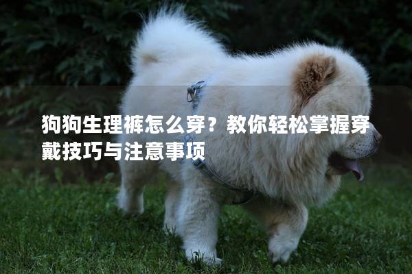 狗狗生理褲怎么穿？教你輕松掌握穿戴技巧與注意事項