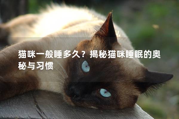 貓咪一般睡多久？揭秘貓咪睡眠的奧秘與習(xí)慣