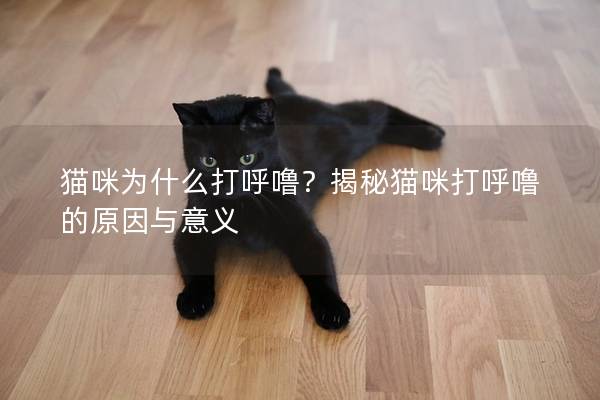 貓咪為什么打呼嚕？揭秘貓咪打呼嚕的原因與意義