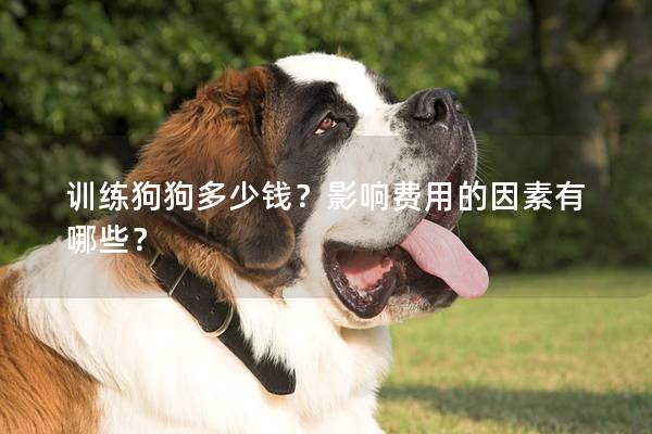 訓練狗狗多少錢？影響費用的因素有哪些？