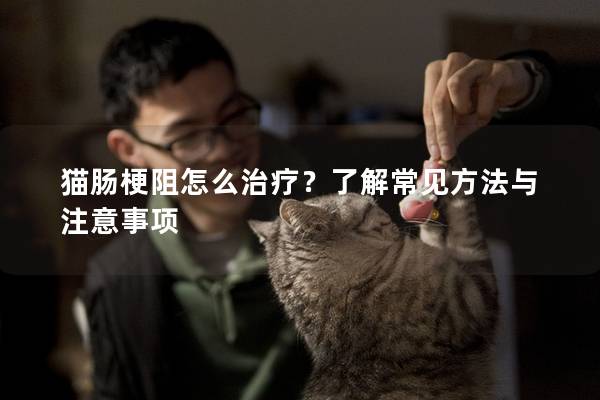 貓腸梗阻怎么治療？了解常見方法與注意事項