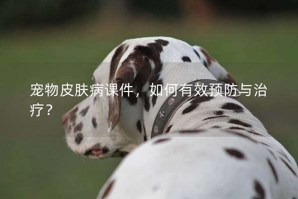 寵物皮膚病課件，如何有效預防與治療？