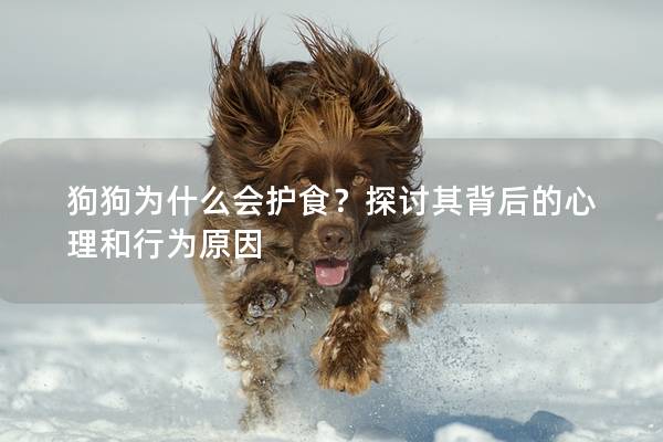 狗狗為什么會(huì)護(hù)食?探討其背后的心理和行為原因 狗狗為什么會(huì)護(hù)食?探討其背后的心理和行為原因