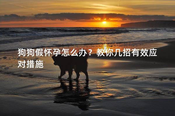 狗狗假懷孕怎么辦？教你幾招有效應(yīng)對措施
