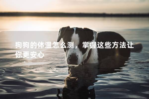 狗狗的體溫怎么測，掌握這些方法讓你更安心