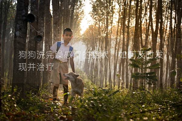 狗狗洗完澡感冒的癥狀，如何及時發(fā)現(xiàn)并治療