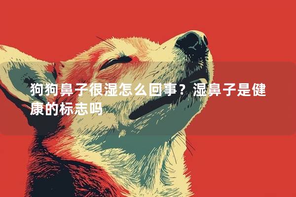 狗狗鼻子很濕怎么回事？濕鼻子是健康的標志嗎