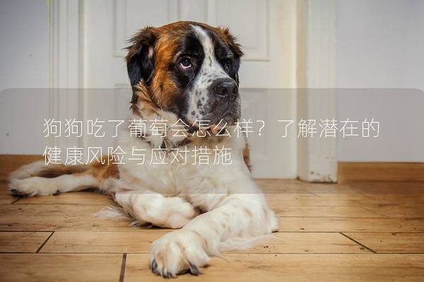 狗狗吃了葡萄會怎么樣？了解潛在的健康風(fēng)險(xiǎn)與應(yīng)對措施