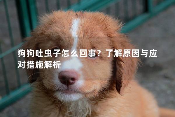 狗狗吐蟲子怎么回事？了解原因與應(yīng)對(duì)措施解析