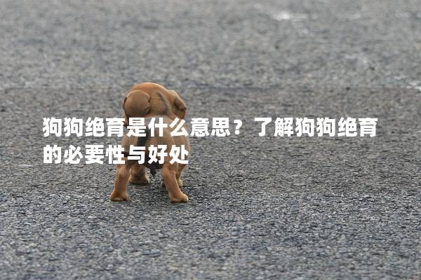 狗狗絕育是什么意思？了解狗狗絕育的必要性與好處