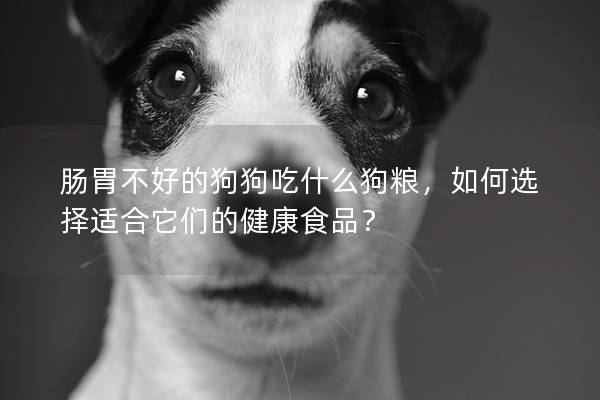 腸胃不好的狗狗吃什么狗糧，如何選擇適合它們的健康食品？
