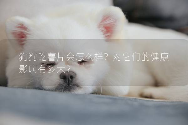 狗狗吃薯片會怎么樣？對它們的健康影響有多大？