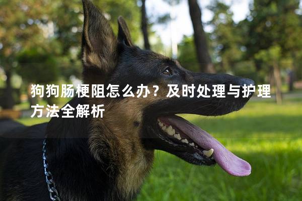 狗狗腸梗阻怎么辦？及時處理與護理方法全解析