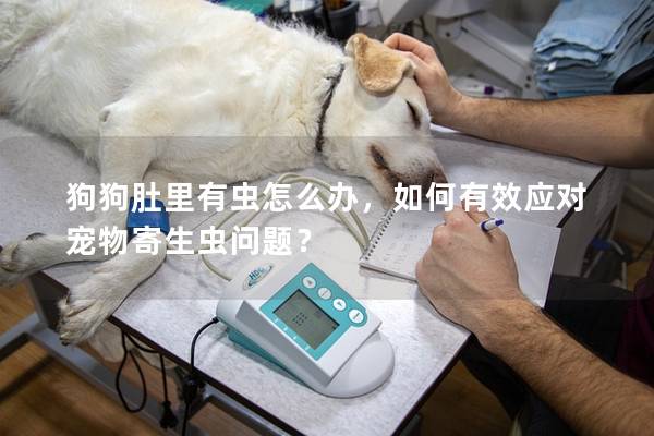 狗狗肚里有蟲(chóng)怎么辦，如何有效應(yīng)對(duì)寵物寄生蟲(chóng)問(wèn)題？