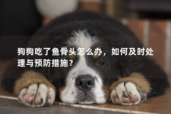 狗狗吃了魚骨頭怎么辦，如何及時處理與預防措施？