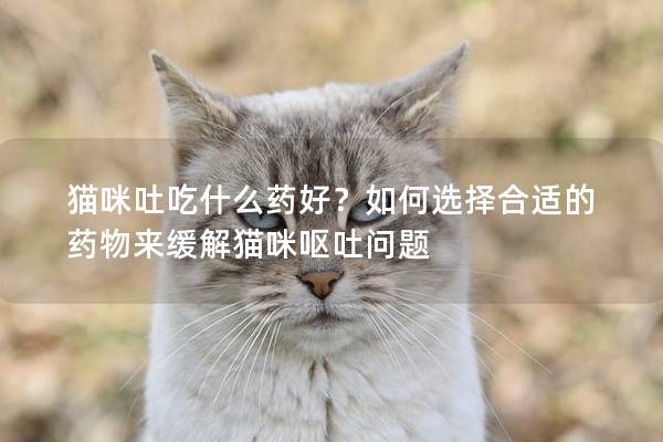 貓咪吐吃什么藥好？如何選擇合適的藥物來緩解貓咪嘔吐問題
