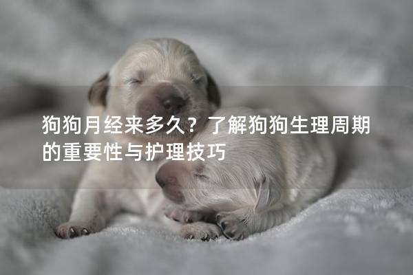 狗狗月經(jīng)來多久？了解狗狗生理周期的重要性與護(hù)理技巧