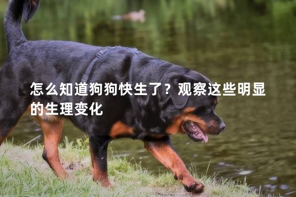 怎么知道狗狗快生了？觀察這些明顯的生理變化