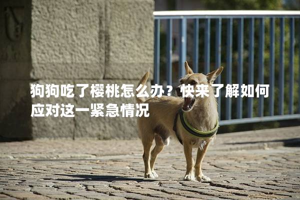 狗狗吃了櫻桃怎么辦?快來了解如何應對這一緊急情況 狗狗吃了櫻桃怎么辦?快來了解如何應對這一緊急情況