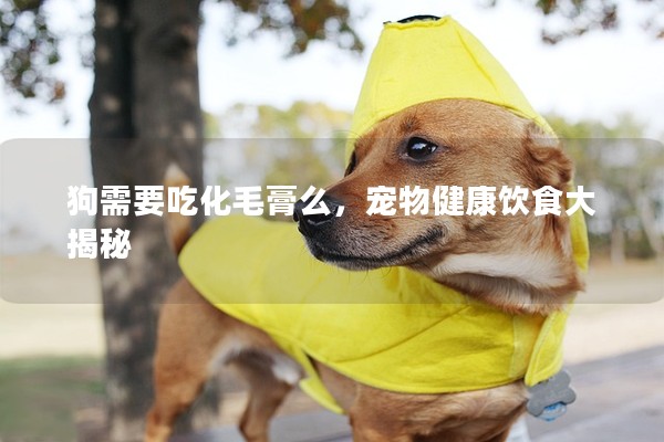 狗需要吃化毛膏么,寵物健康飲食大揭秘 狗需要吃化毛膏么,寵物健康飲食大揭秘