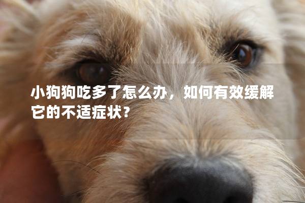 小狗狗吃多了怎么辦，如何有效緩解它的不適癥狀？