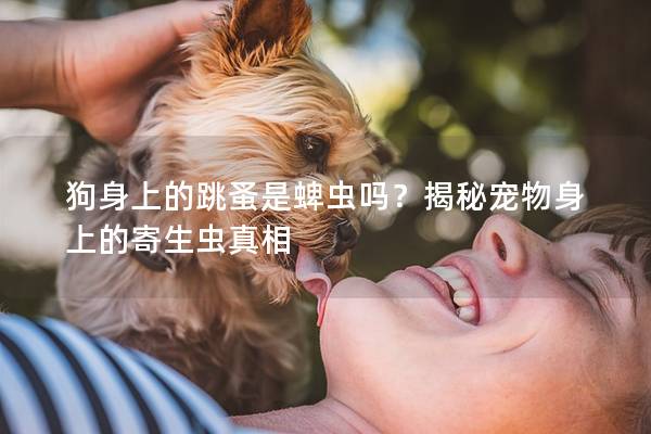 狗身上的跳蚤是蜱蟲嗎？揭秘寵物身上的寄生蟲真相