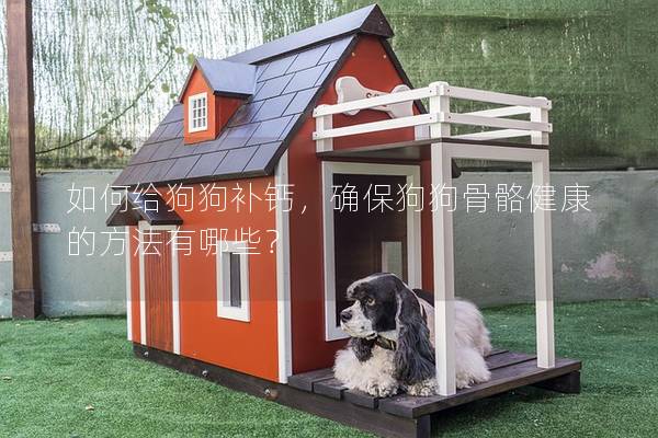 如何給狗狗補鈣，確保狗狗骨骼健康的方法有哪些？
