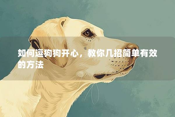 如何逗狗狗開心，教你幾招簡單有效的方法