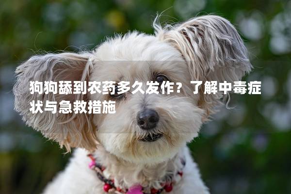 狗狗舔到農藥多久發作?了解中毒癥狀與急救措施 狗狗舔到農藥多久發作?了解中毒癥狀與急救措施