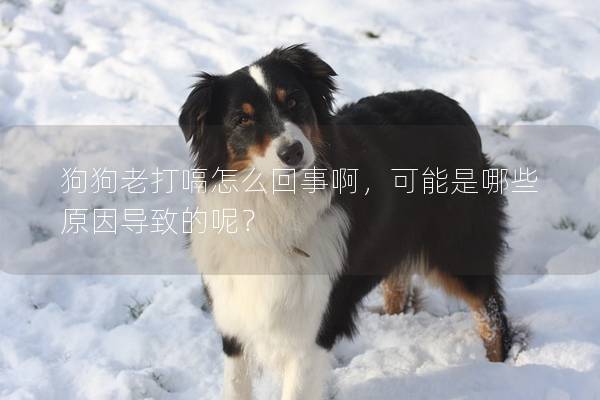 狗狗老打嗝怎么回事啊，可能是哪些原因導致的呢？
