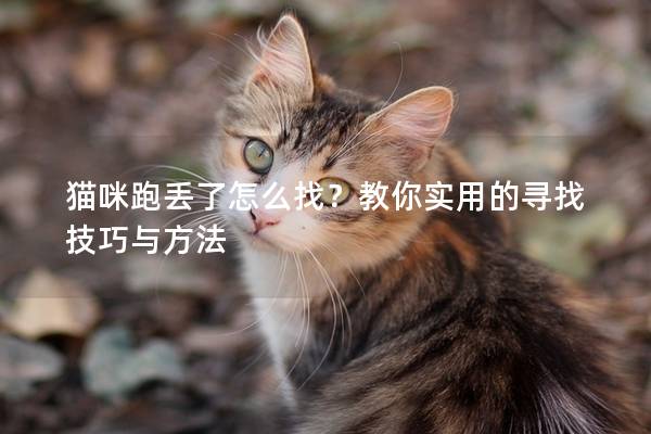 貓咪跑丟了怎么找？教你實(shí)用的尋找技巧與方法