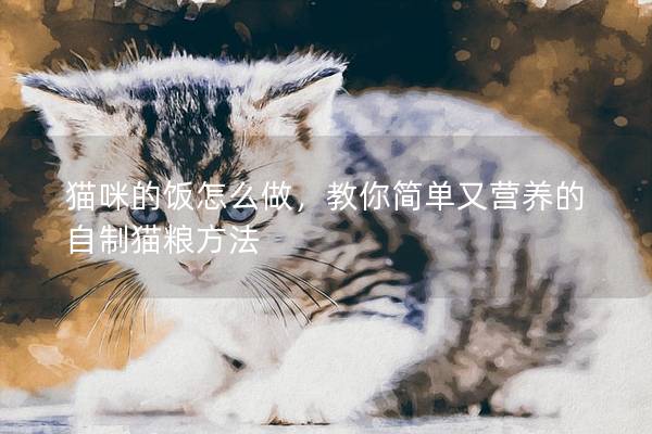 貓咪的飯怎么做，教你簡單又營養的自制貓糧方法