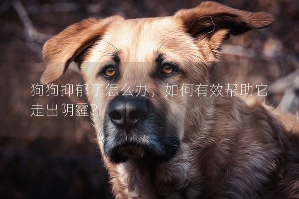 狗狗抑郁了怎么辦，如何有效幫助它走出陰霾？