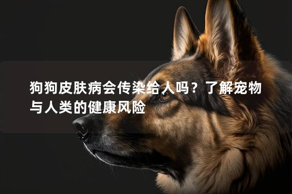 狗狗皮膚病會傳染給人嗎?了解寵物與人類的健康風險 狗狗皮膚病會傳染給人嗎?了解寵物與人類的健康風險