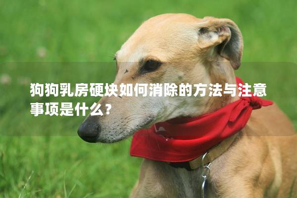 狗狗乳房硬塊如何消除的方法與注意事項是什么？
