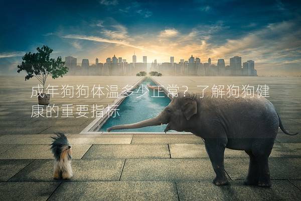 成年狗狗體溫多少正常？了解狗狗健康的重要指標