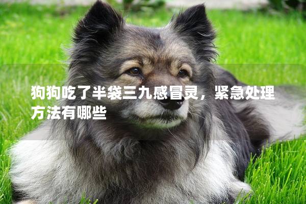 狗狗吃了半袋三九感冒靈，緊急處理方法有哪些