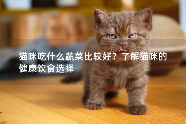 貓咪吃什么蔬菜比較好？了解貓咪的健康飲食選擇