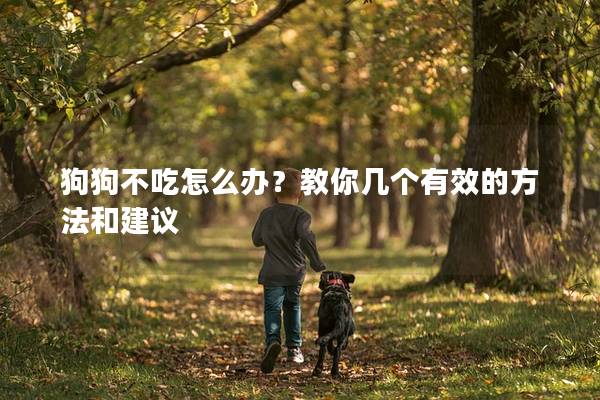 狗狗不吃怎么辦？教你幾個有效的方法和建議