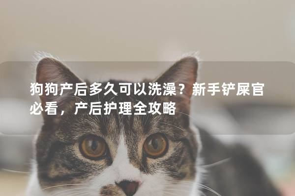 狗狗產后多久可以洗澡？新手鏟屎官必看，產后護理全攻略