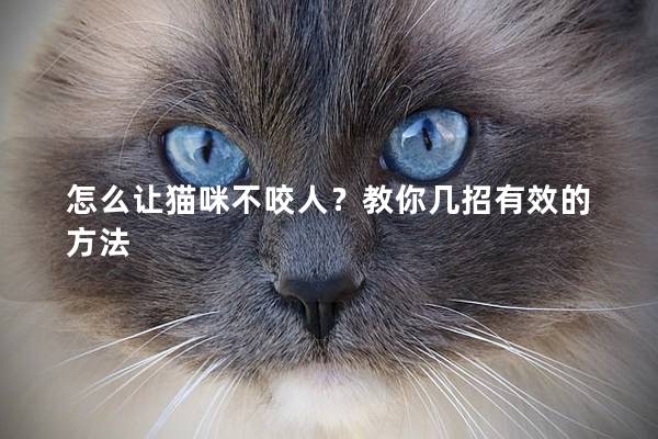 怎么讓貓咪不咬人？教你幾招有效的方法