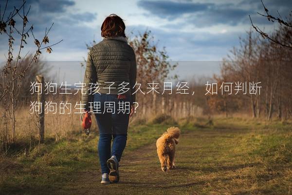 狗狗生完孩子多久來月經(jīng)，如何判斷狗狗的生理周期？