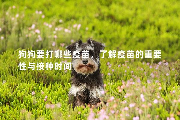狗狗要打哪些疫苗，了解疫苗的重要性與接種時(shí)間