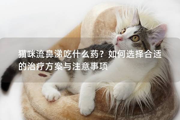 貓咪流鼻涕吃什么藥？如何選擇合適的治療方案與注意事項(xiàng)