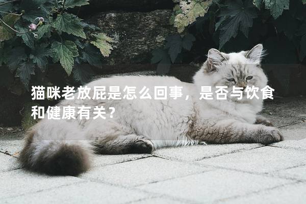 貓咪老放屁是怎么回事，是否與飲食和健康有關(guān)？